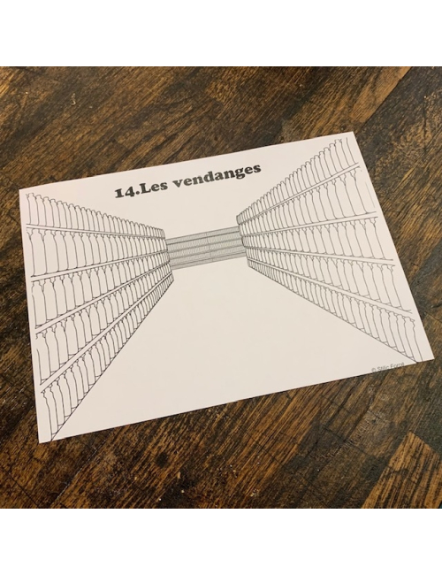 COLORéalité By Stilic Force Enfants