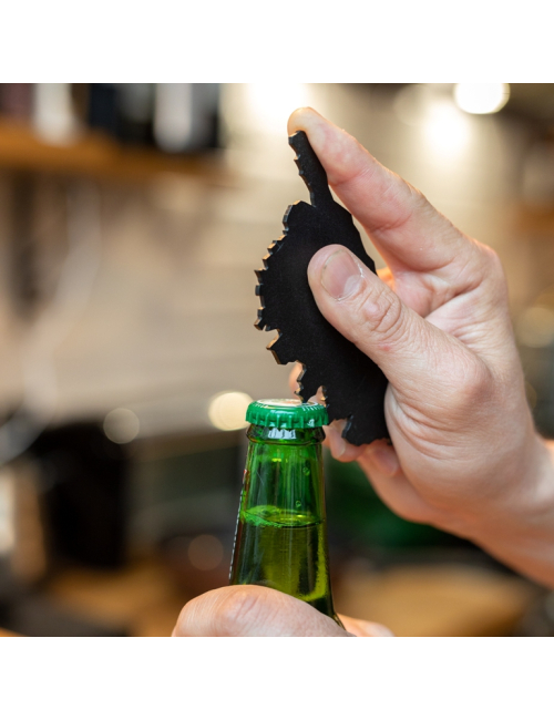 DECAPINSULAIRE By Stilic Force So French