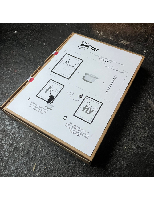 MOUCH'ART - 8 pièges à mouches artistiques !