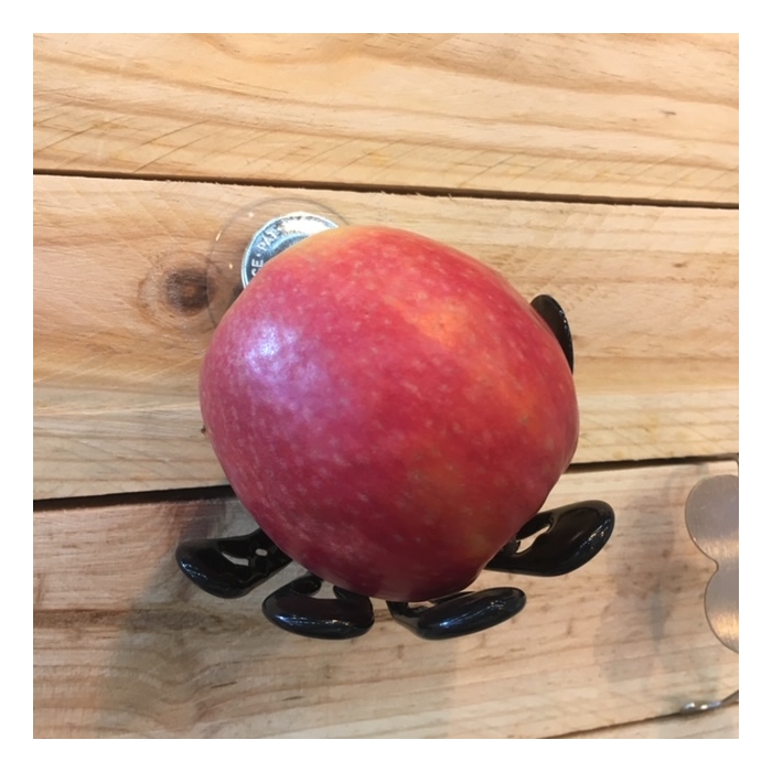 La Main By Stilic Force Decoration